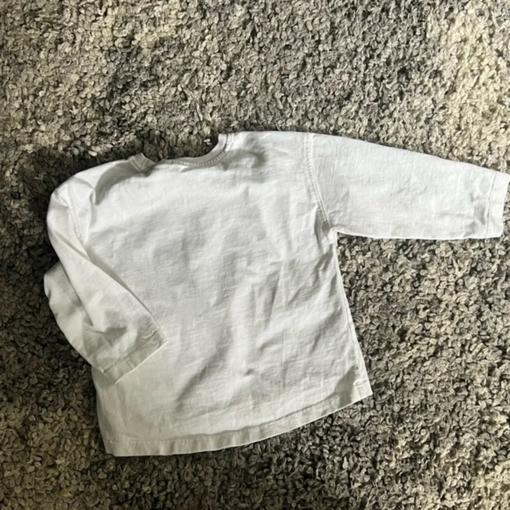 Zara long sleeve tee